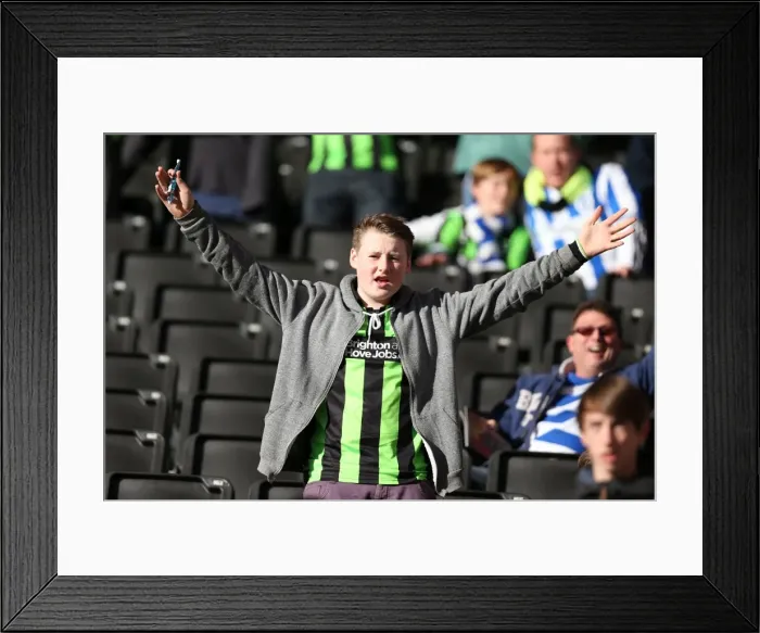 Framed Print : Brighton & Hove Albion vs. Wolves: 2012-13 Away Game Framed Print : Brighton & Hove Albion vs. Wolves: 2012-13 Away Game