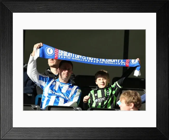 Framed Print : Brighton & Hove Albion vs. Wolves: 2012-13 Away Game Framed Print : Brighton & Hove Albion vs. Wolves: 2012-13 Away Game