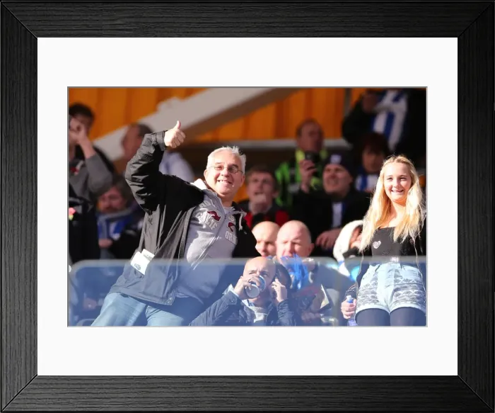 Framed Print : Brighton & Hove Albion vs. Wolves: 2012-13 Away Game