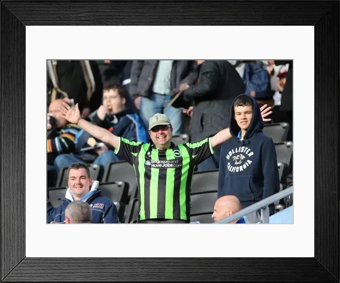 Framed Print : Brighton & Hove Albion vs. Wolves: 2012-13 Away Game Framed Print : Brighton & Hove Albion vs. Wolves: 2012-13 Away Game