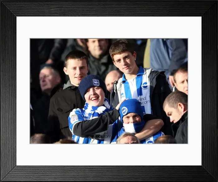 Framed Print : Brighton & Hove Albion vs. Wolves: 2012-13 Away Game Framed Print : Brighton & Hove Albion vs. Wolves: 2012-13 Away Game