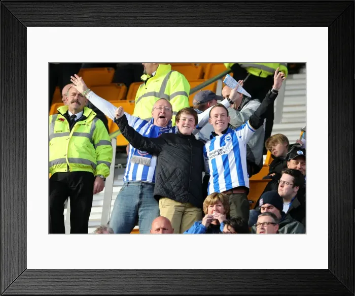 Framed Print : Brighton & Hove Albion vs. Wolves: 2012-13 Away Game