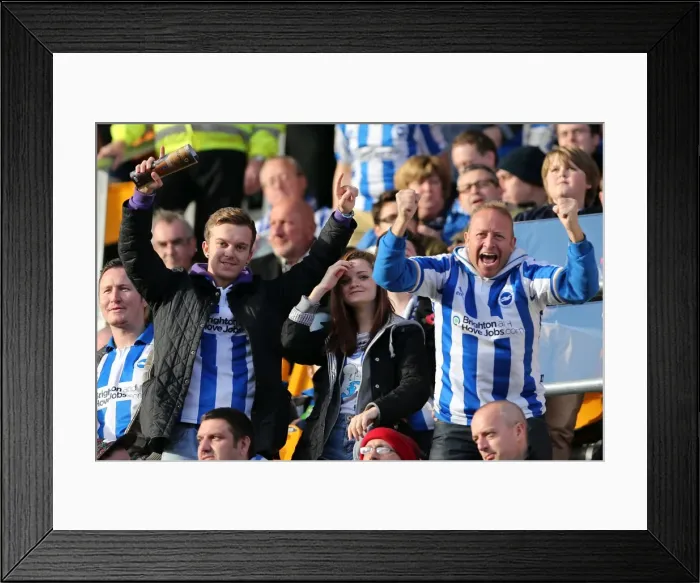 Framed Print : Brighton & Hove Albion vs. Wolves: 2012-13 Away Game Framed Print : Brighton & Hove Albion vs. Wolves: 2012-13 Away Game