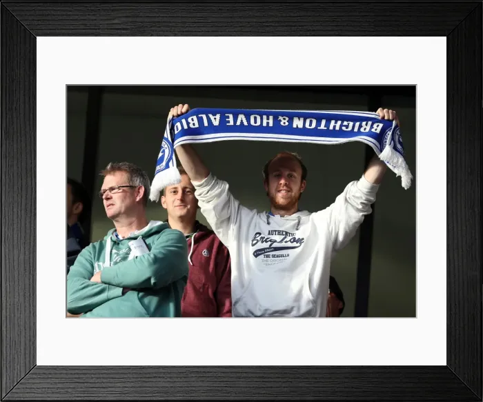 Framed Print : Brighton & Hove Albion vs. Wolves: 2012-13 Away Game Framed Print : Brighton & Hove Albion vs. Wolves: 2012-13 Away Game