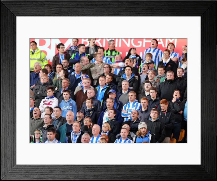 Framed Print : Brighton & Hove Albion vs. Wolves: 2012-13 Away Game Framed Print : Brighton & Hove Albion vs. Wolves: 2012-13 Away Game