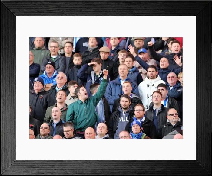 Framed Print : Brighton & Hove Albion vs. Wolves: 2012-13 Away Game