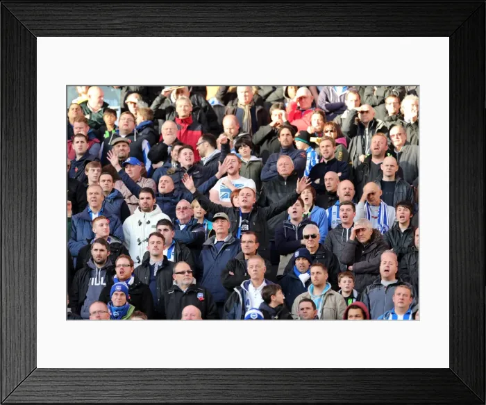 Framed Print : Brighton & Hove Albion vs. Wolves: 2012-13 Away Game Framed Print : Brighton & Hove Albion vs. Wolves: 2012-13 Away Game