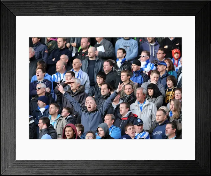 Framed Print : Brighton & Hove Albion vs. Wolves: 2012-13 Away Game Framed Print : Brighton & Hove Albion vs. Wolves: 2012-13 Away Game