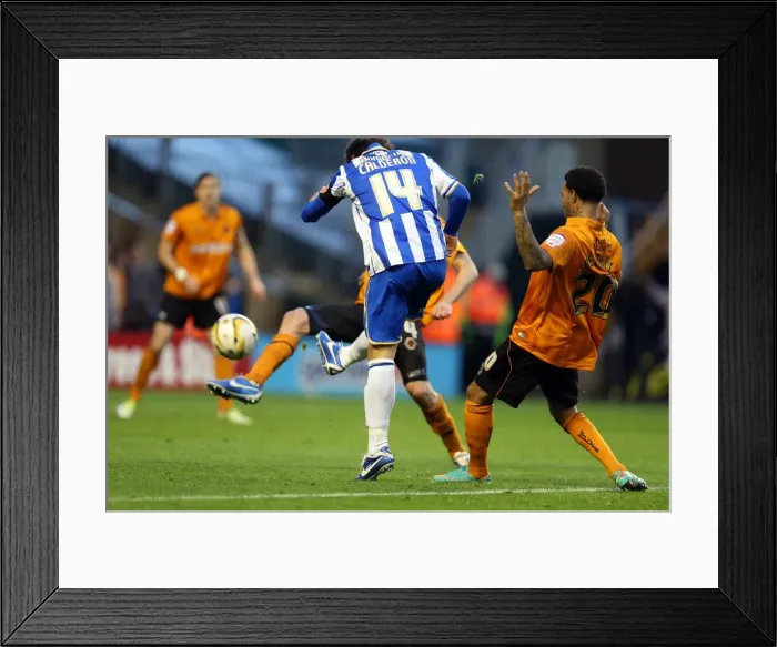 Framed Print : Brighton & Hove Albion vs. Wolves: 2012-13 Away Game
