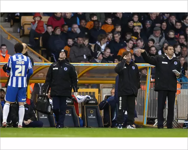Brighton & Hove Albion vs. Wolves: 2012-13 Away Game