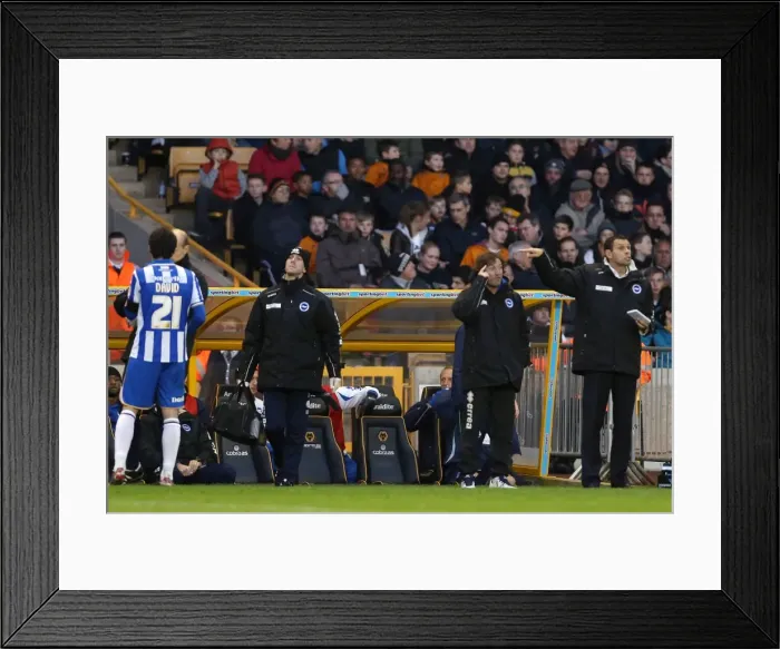 Framed Print : Brighton & Hove Albion vs. Wolves: 2012-13 Away Game Framed Print : Brighton & Hove Albion vs. Wolves: 2012-13 Away Game