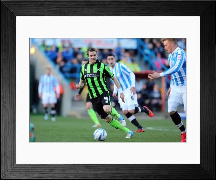 Framed Print : Wolves Brighton 121110 Framed Print : Wolves Brighton 121110