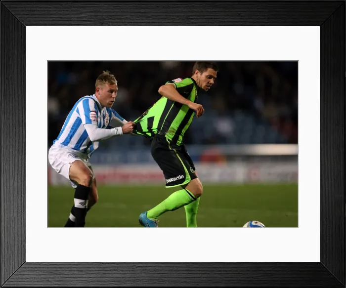 Framed Print : Dean Hammond in Action: Brighton & Hove Albion vs. Wolverhampton Wanderers, Championship Game, November 17, 2012 Framed Print : Dean Hammond in Action: Brighton & Hove Albion vs. Wolverhampton Wanderers, Championship Game, November 17, 2012