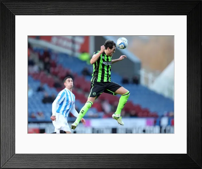 Framed Print : Gordon Greer Clears the Ball for Brighton & Hove Albion against Huddersfield Town, November 2012 Framed Print : Gordon Greer Clears the Ball for Brighton & Hove Albion against Huddersfield Town, November 2012