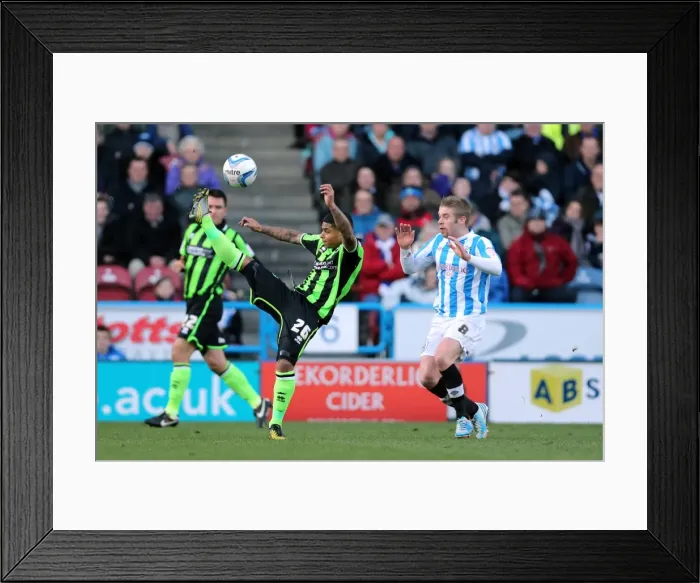 Framed Print : Liam Bridcutt's Overhead Kick: Brighton & Hove Albion vs. Wolves, Championship Match at Huddersfield Town (November 17, 2012) Framed Print : Liam Bridcutt's Overhead Kick: Brighton & Hove Albion vs. Wolves, Championship Match at Huddersfield Town (November 17, 2012)
