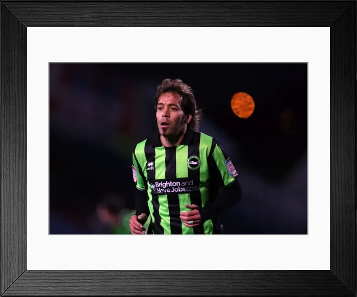 Framed Print : Brighton & Hove Albion at Huddersfield Town (Away Game - 17-11-2012, 2012-13 Season) Framed Print : Brighton & Hove Albion at Huddersfield Town (Away Game - 17-11-2012, 2012-13 Season)