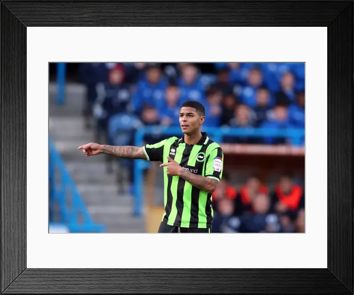 Framed Print : Brighton & Hove Albion vs. Huddersfield Town: 2012-13 Away Game Framed Print : Brighton & Hove Albion vs. Huddersfield Town: 2012-13 Away Game