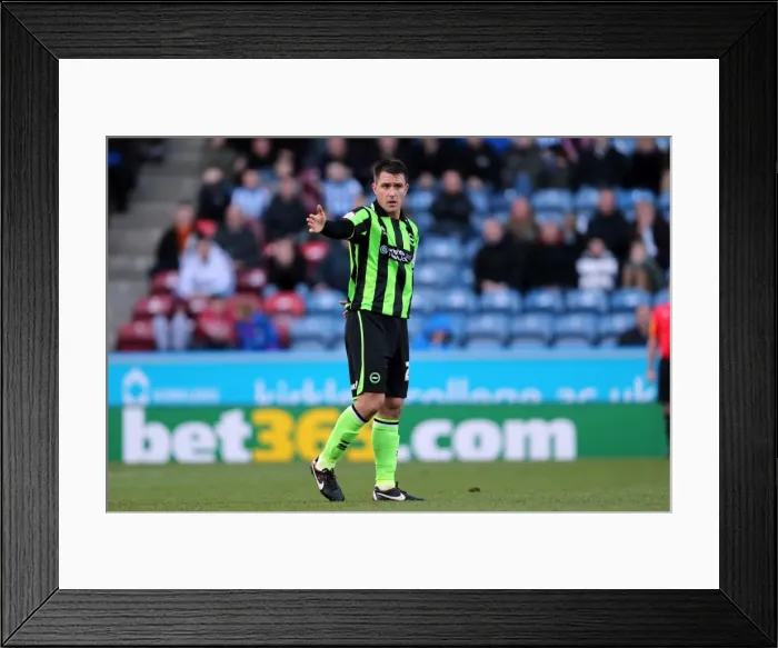 Framed Print : Brighton & Hove Albion 2012-13 Away: Huddersfield Town - Highlights Framed Print : Brighton & Hove Albion 2012-13 Away: Huddersfield Town - Highlights