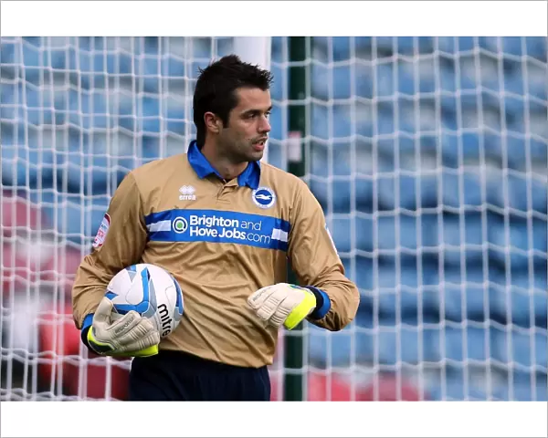 Brighton & Hove Albion vs. Huddersfield Town (Away): Reliving the Thrills of the 2012-13 Season