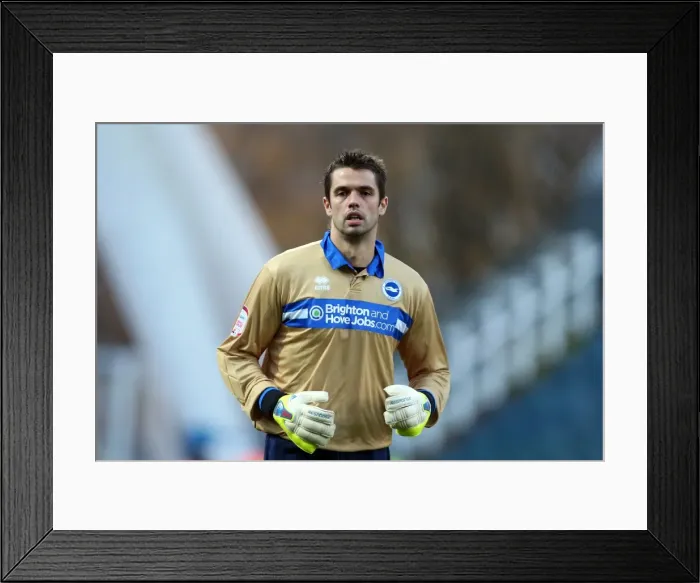 Framed Print : Brighton & Hove Albion: Peter Brezovan's Intense Moment on the Field Framed Print : Brighton & Hove Albion: Peter Brezovan's Intense Moment on the Field