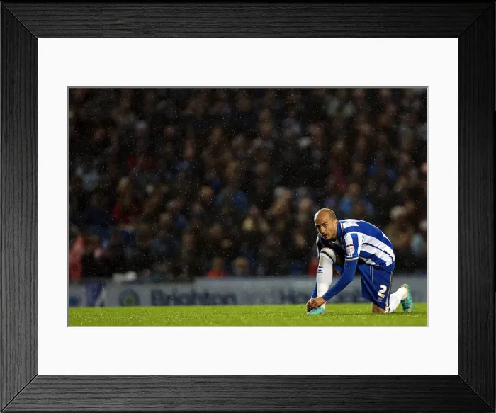 Framed Print : Brighton & Hove Albion: Nostalgic Look Back at the 2012-13 Home Game Against Bolton Wanderers Framed Print : Brighton & Hove Albion: Nostalgic Look Back at the 2012-13 Home Game Against Bolton Wanderers