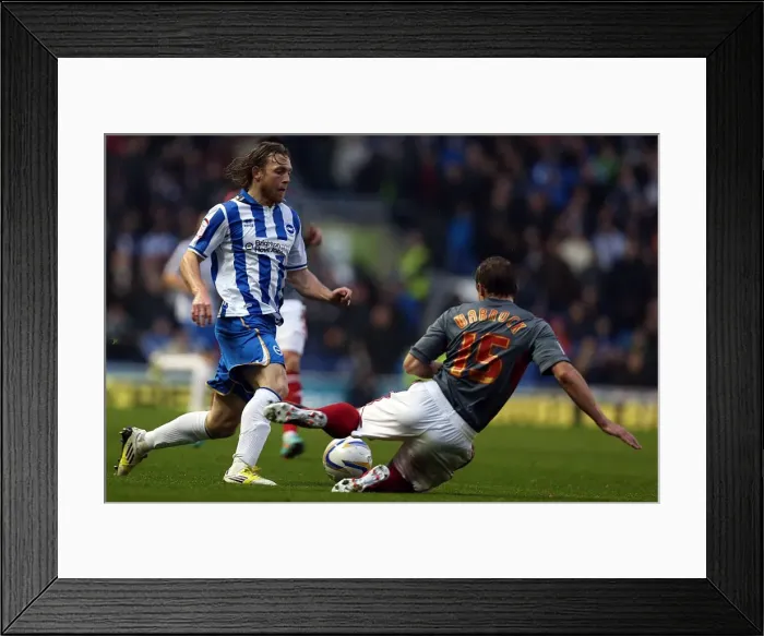 Framed Print : Brighton & Hove Albion: Nostalgic Review of the 2012-13 Home Game Against Bolton Wanderers (24-11-2012)
