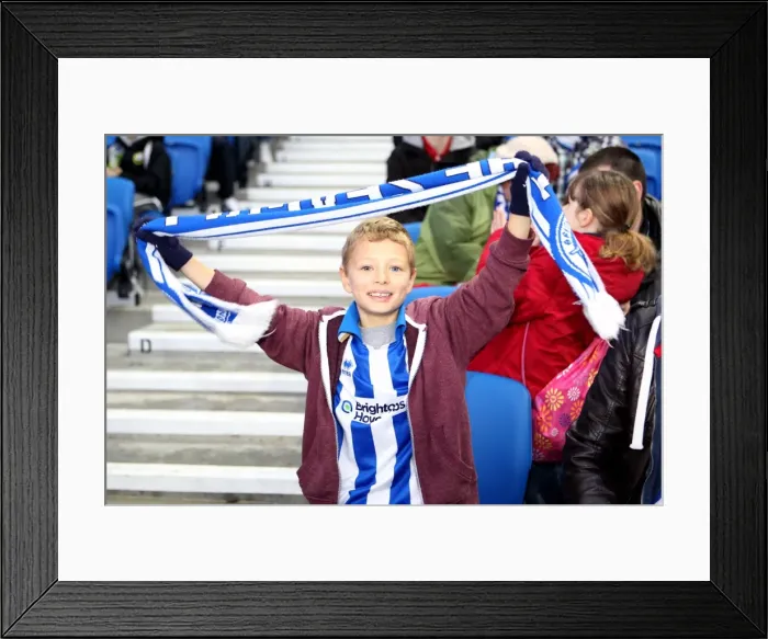 Framed Print : Brighton & Hove Albion: The Electric Amex Stadium Crowd (2012-2013) Framed Print : Brighton & Hove Albion: The Electric Amex Stadium Crowd (2012-2013)
