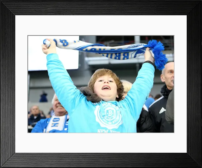 Framed Print : Brighton & Hove Albion: A Nostalgic Look Back at the 2012-13 Home Game Against Bolton Wanderers Framed Print : Brighton & Hove Albion: A Nostalgic Look Back at the 2012-13 Home Game Against Bolton Wanderers