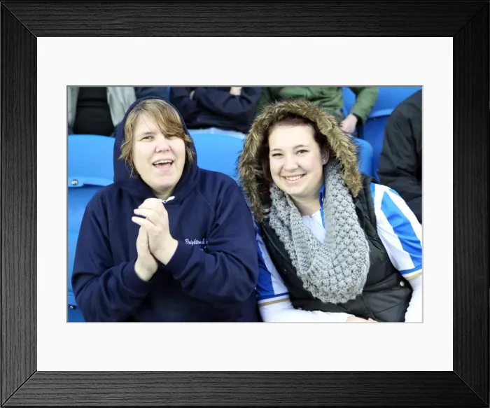 Framed Print : Brighton & Hove Albion FC: Electric Atmosphere at the Amex Stadium (2012-2013) - Crowd Shots Framed Print : Brighton & Hove Albion FC: Electric Atmosphere at the Amex Stadium (2012-2013) - Crowd Shots