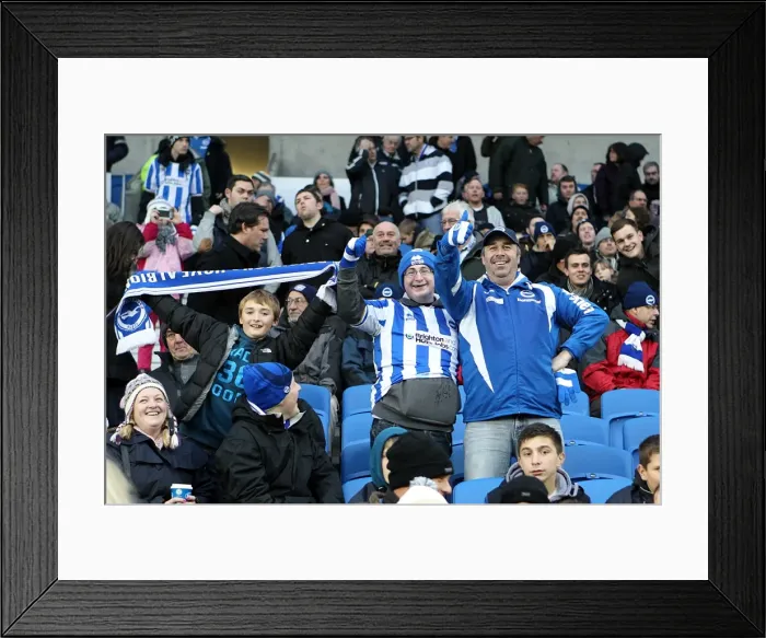Framed Print : Brighton & Hove Albion: Nostalgic Review of the 2012-13 Home Game Against Bolton Wanderers (24-11-2012)