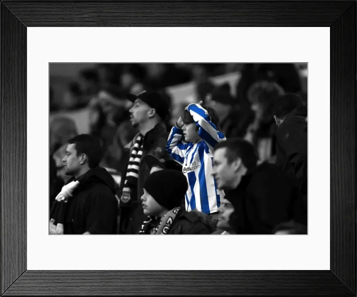 Framed Print : Brighton & Hove Albion: Nostalgic Review of the 2012-13 Home Game Against Bolton Wanderers (Nov. 24, 2012) Framed Print : Brighton & Hove Albion: Nostalgic Review of the 2012-13 Home Game Against Bolton Wanderers (Nov. 24, 2012)