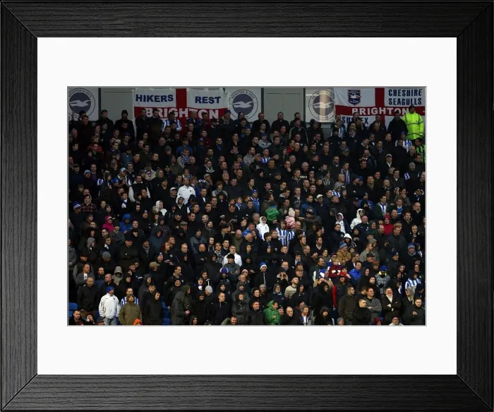 Framed Print : Brighton & Hove Albion vs. Bolton Wanderers: 2012-13 Home Game Framed Print : Brighton & Hove Albion vs. Bolton Wanderers: 2012-13 Home Game
