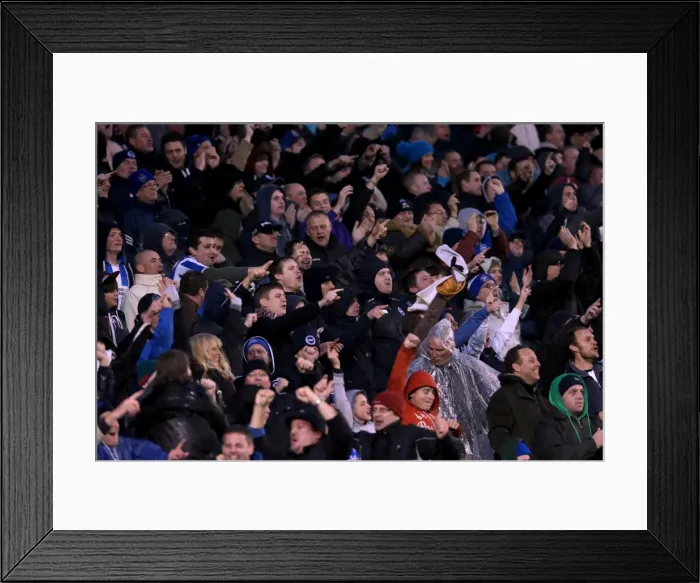 Framed Print : Brighton & Hove Albion vs. Bolton Wanderers: 2012-13 Home Game Framed Print : Brighton & Hove Albion vs. Bolton Wanderers: 2012-13 Home Game