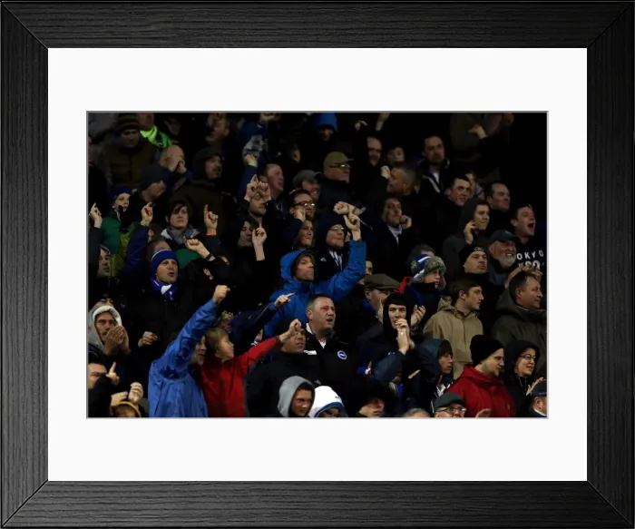 Framed Print : Brighton & Hove Albion vs. Bolton Wanderers: 2012-13 Home Game Framed Print : Brighton & Hove Albion vs. Bolton Wanderers: 2012-13 Home Game