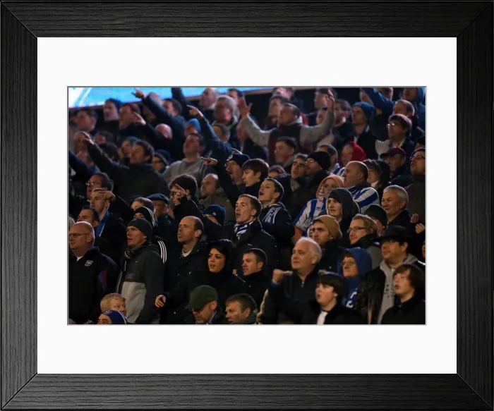 Framed Print : Brighton & Hove Albion vs. Bolton Wanderers: 2012-13 Home Game Framed Print : Brighton & Hove Albion vs. Bolton Wanderers: 2012-13 Home Game