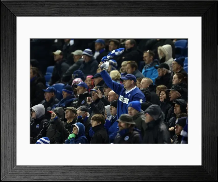 Framed Print : Brighton & Hove Albion vs. Bolton Wanderers: 2012-13 Home Game Framed Print : Brighton & Hove Albion vs. Bolton Wanderers: 2012-13 Home Game