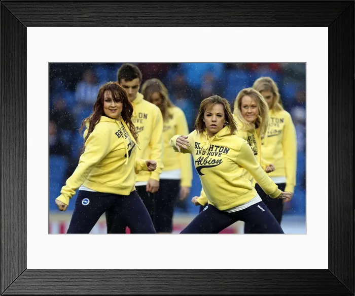 Framed Print : Brighton & Hove Albion: Nostalgic Review of the 2012-13 Home Game Against Bolton Wanderers (Nov. 24, 2012) Framed Print : Brighton & Hove Albion: Nostalgic Review of the 2012-13 Home Game Against Bolton Wanderers (Nov. 24, 2012)