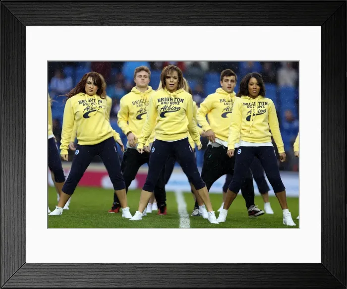 Framed Print : Brighton & Hove Albion vs. Bolton Wanderers (November 2012): A Past Season Home Game Framed Print : Brighton & Hove Albion vs. Bolton Wanderers (November 2012): A Past Season Home Game