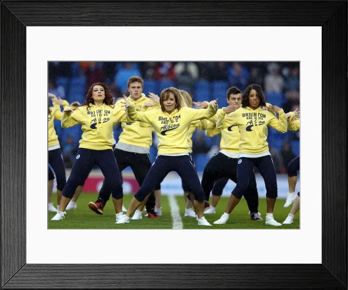 Framed Print : Brighton & Hove Albion vs. Bolton Wanderers (2012-13): Home Game Highlights Framed Print : Brighton & Hove Albion vs. Bolton Wanderers (2012-13): Home Game Highlights
