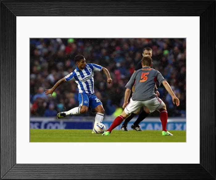 Framed Print : Brighton & Hove Albion: Nostalgic Review of the 2012-13 Home Game Against Bolton Wanderers (Nov. 24, 2012) Framed Print : Brighton & Hove Albion: Nostalgic Review of the 2012-13 Home Game Against Bolton Wanderers (Nov. 24, 2012)