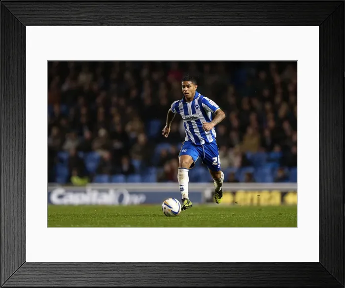 Framed Print : Brighton & Hove Albion vs. Bolton Wanderers: 2012-13 Home Match Framed Print : Brighton & Hove Albion vs. Bolton Wanderers: 2012-13 Home Match