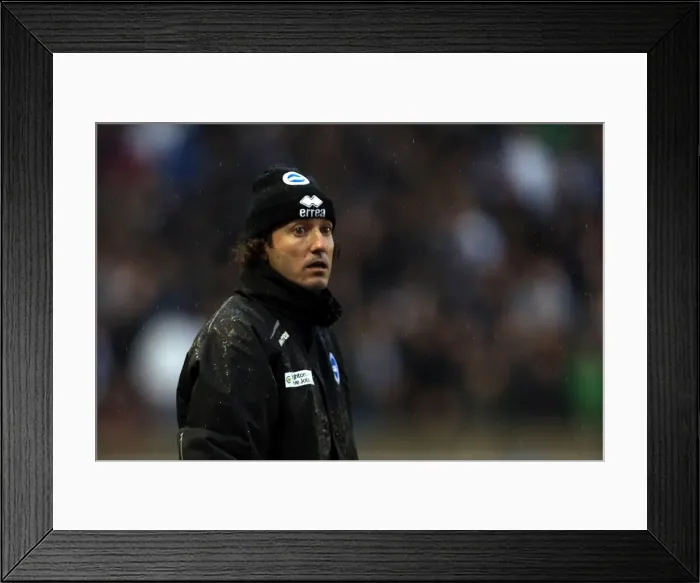 Framed Print : Brighton & Hove Albion vs. Bolton Wanderers: 2012-13 Home Game Framed Print : Brighton & Hove Albion vs. Bolton Wanderers: 2012-13 Home Game