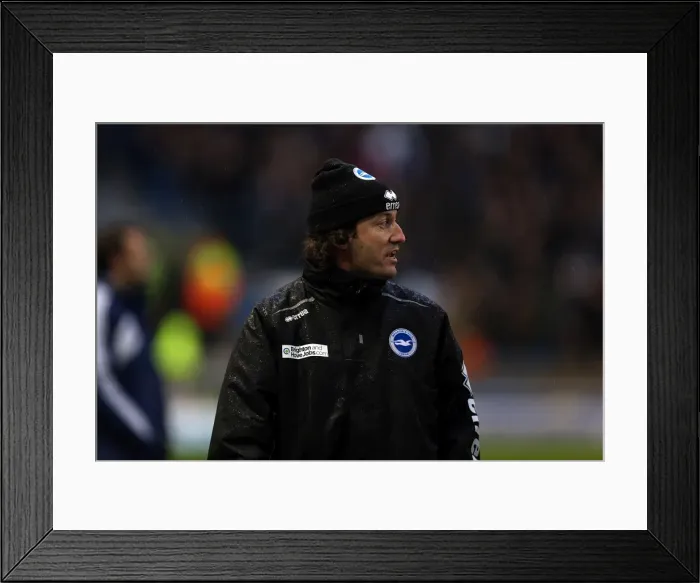 Framed Print : Brighton & Hove Albion vs. Bolton Wanderers (2012-13 Season: Home Game) Framed Print : Brighton & Hove Albion vs. Bolton Wanderers (2012-13 Season: Home Game)