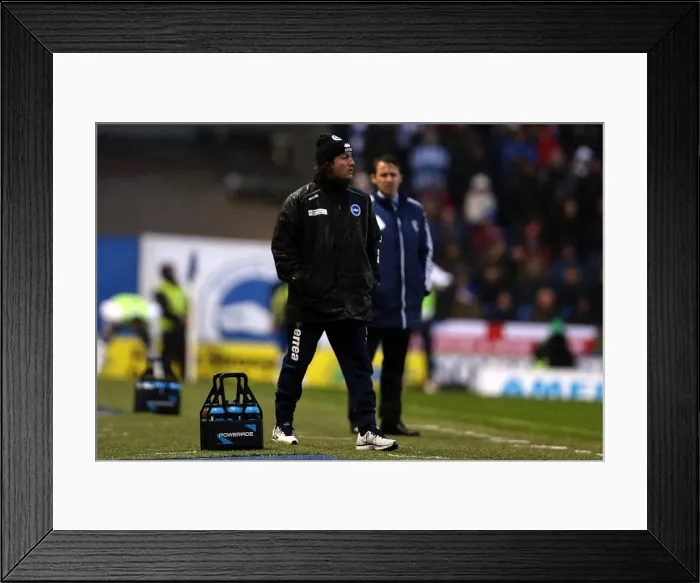 Framed Print : Brighton & Hove Albion vs. Bolton Wanderers: 2012-13 Home Game Framed Print : Brighton & Hove Albion vs. Bolton Wanderers: 2012-13 Home Game