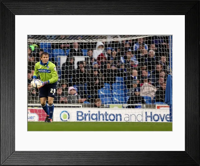 Framed Print : Brighton & Hove Albion: Nostalgic Review of the 2012-13 Home Game Against Bolton Wanderers (24-11-2012)