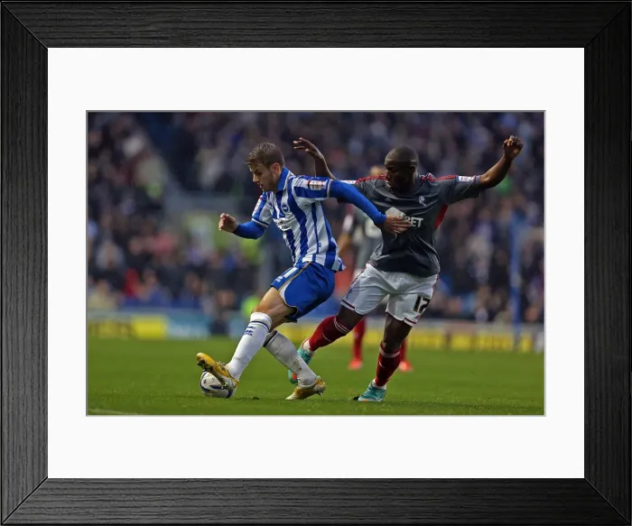 Framed Print : Andrea Orlandi in Action: Brighton & Hove Albion vs Bolton Wanderers, Npower Championship, November 24, 2012 Framed Print : Andrea Orlandi in Action: Brighton & Hove Albion vs Bolton Wanderers, Npower Championship, November 24, 2012