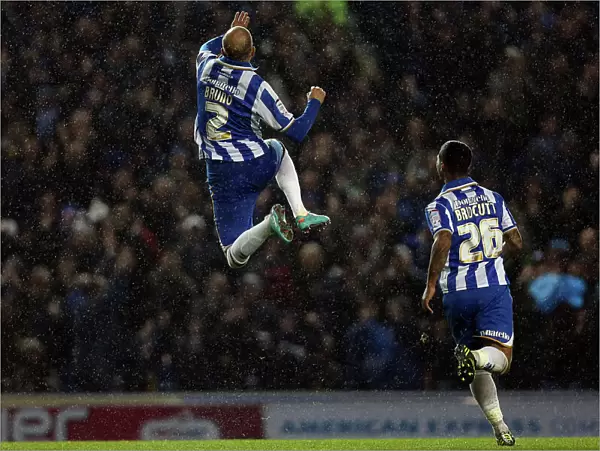 Bruno Saltor Scores First Goal: Brighton & Hove Albion Takes 1-0 Lead Against Bolton Wanderers, Npower Championship (November 24, 2012)