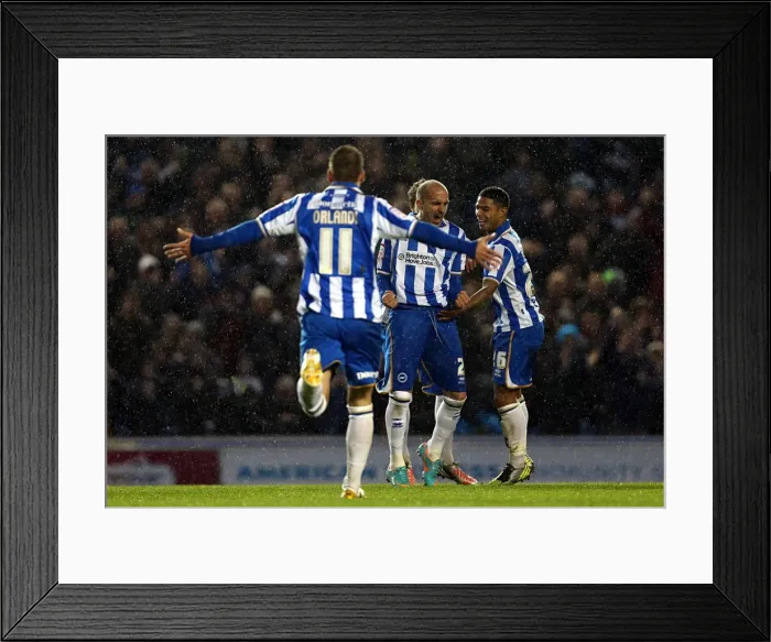 Framed Print : Bruno Saltor's First Goal: Brighton & Hove Albion Secure 1-0 Victory over Bolton Wanderers (November 24, 2012) Framed Print : Bruno Saltor's First Goal: Brighton & Hove Albion Secure 1-0 Victory over Bolton Wanderers (November 24, 2012)