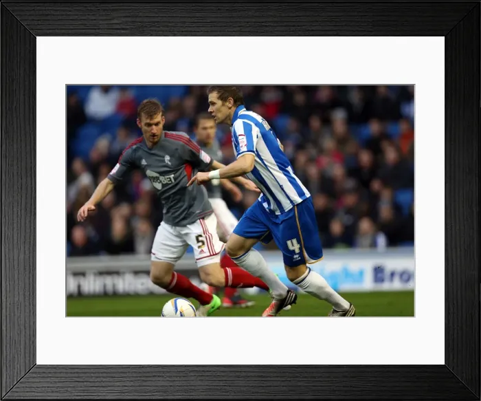Framed Print : Dean Hammond Attacks in Intense Action: Brighton & Hove Albion vs. Bolton Wanderers, Npower Championship (November 24, 2012) Framed Print : Dean Hammond Attacks in Intense Action: Brighton & Hove Albion vs. Bolton Wanderers, Npower Championship (November 24, 2012)