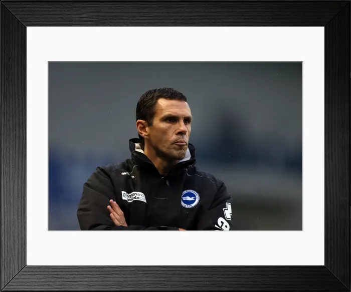 Framed Print : Gus Poyet Guides Brighton & Hove Albion Against Bolton Wanderers in Npower Championship Showdown at Amex Stadium (Nov 24, 2012) Framed Print : Gus Poyet Guides Brighton & Hove Albion Against Bolton Wanderers in Npower Championship Showdown at Amex Stadium (Nov 24, 2012)